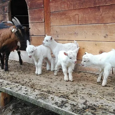 Ledererhof 2*