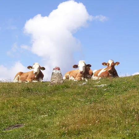 Ledererhof Frühstückspension