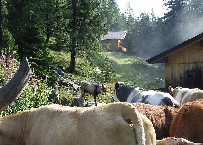 住宿加早餐酒店 Ledererhof 3*